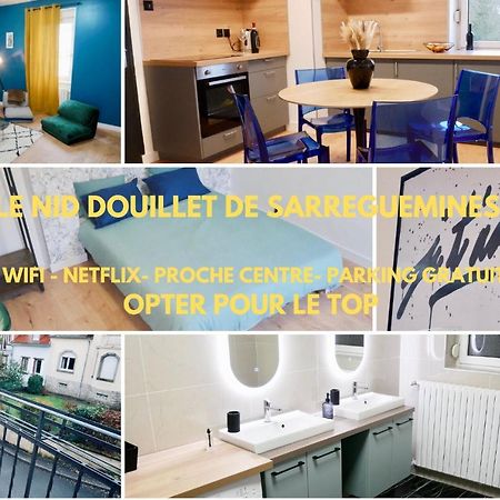 Le Nid Douillet De Sarreguemines Apartment Екстериор снимка