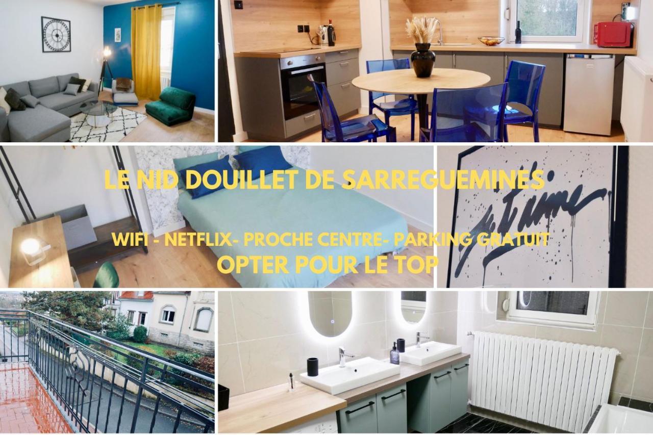 Le Nid Douillet De Sarreguemines Apartment Екстериор снимка