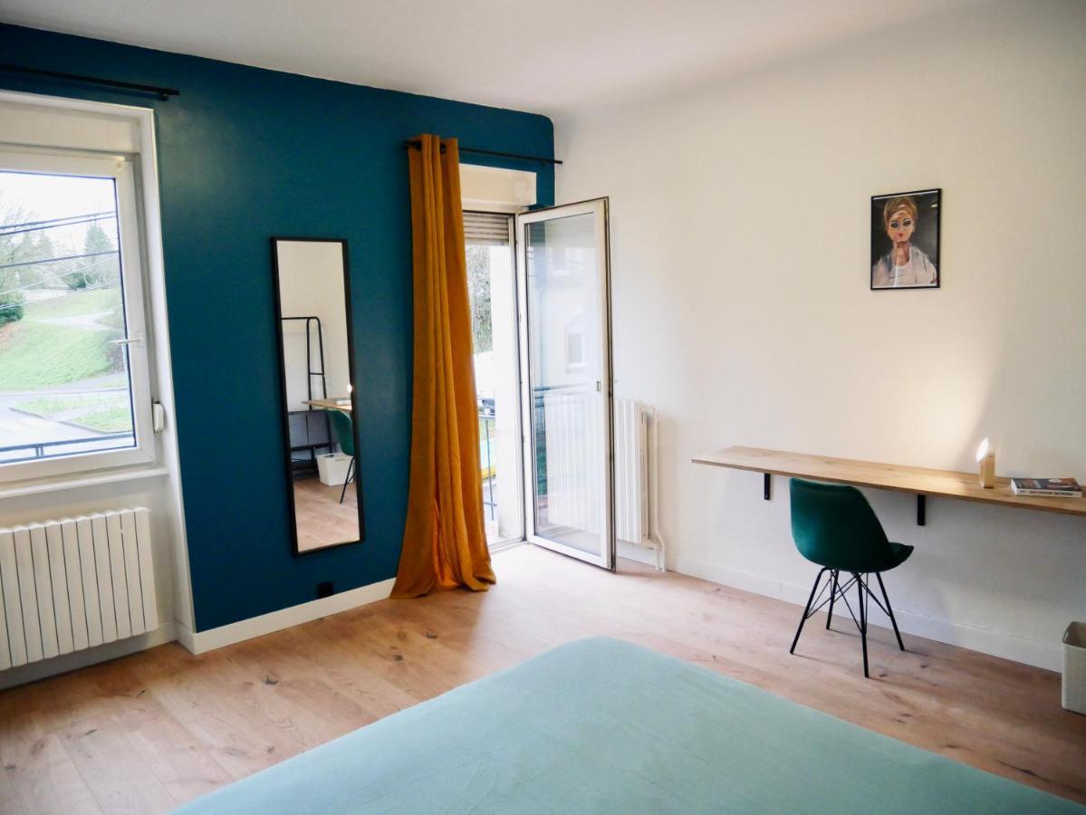 Le Nid Douillet De Sarreguemines Apartment Екстериор снимка